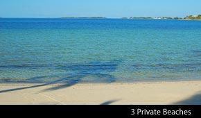Snapper Point - Beaches