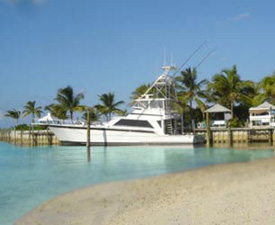 Snapper Point Property Details